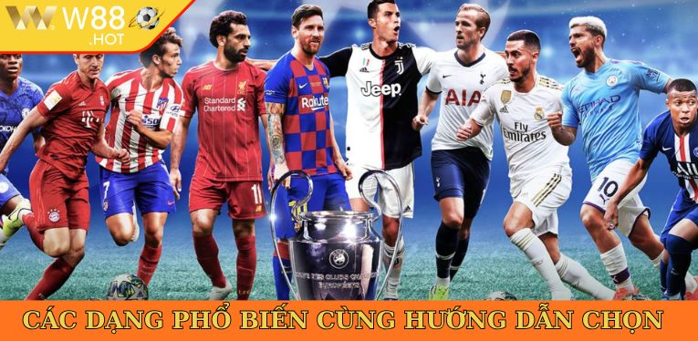 Các dạng phổ biến cùng hướng dẫn chọn 