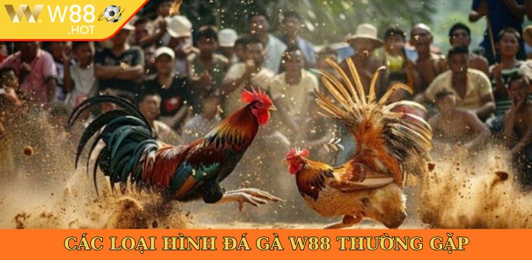 Các loại hình đá gà W88 thường gặp