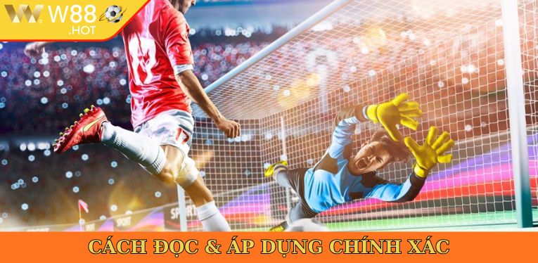 Cách đọc và áp dụng chính xác 