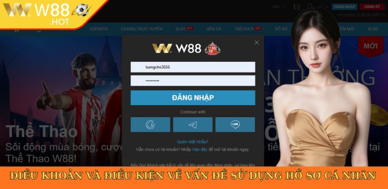 Điều khoản và điều kiện về vấn đề sử dụng hồ sơ cá nhân