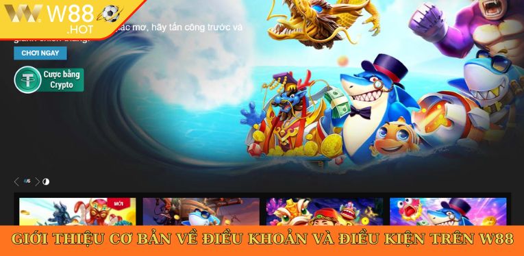 Giới thiệu cơ bản về điều khoản và điều kiện trên W88