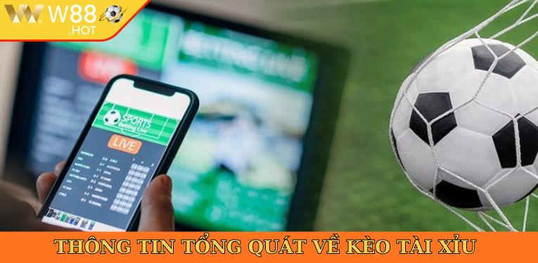 Thông tin tổng quát về kèo tài xỉu trong cá độ thể thao